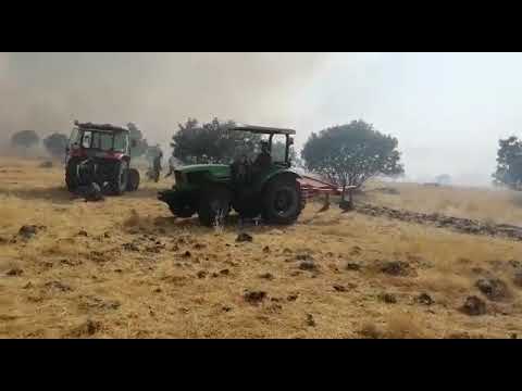 49.MiDIN @live.de18.07.2019(3)