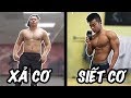 XẢ CƠ VÀ SIẾT CƠ LÀ GÌ ?? | BULKING & CUTTING