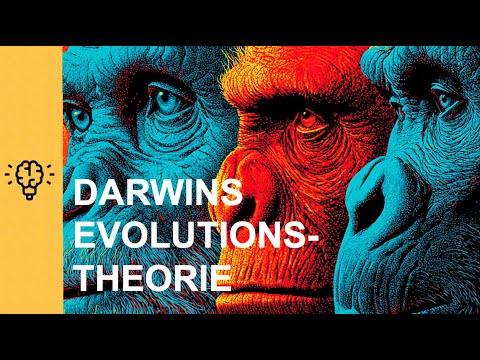 Darwins Evolutionstheorie | EINFACH ERKLÄRT
