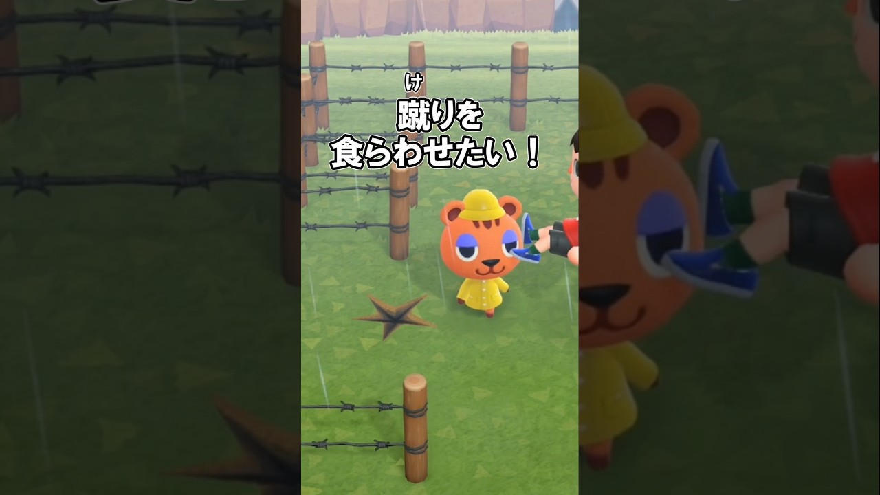 蹴りを食らわせたい！ 【あつ森】@ほのげ