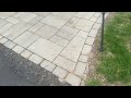 Ant Hills Popping Up Throughout Driveway in Tinton Falls, NJ