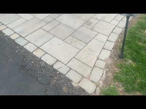 Ant Hills Popping Up Throughout Driveway in Red Bank, NJ