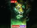 Tiger Attack Attitude Whatsapp Status 232 Shorts