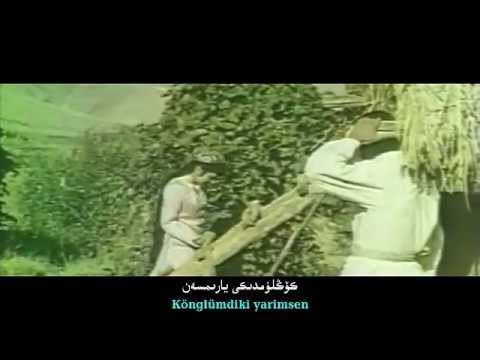 Sehirlik ALMA Filimidin Ariye@BULBULUNG BULAAY