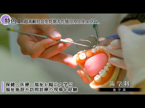 【2019年最新】北海道医療大学紹介ムービー（学科編・歯学部歯学科）