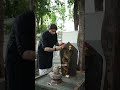 Why Nag Panchami Is Celebrated During Shravan ️ Shorts