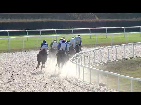 2019.11.17. 02. futam - VÁROSLIGETI DÍJ (V.kat.) (szintetikus pálya)