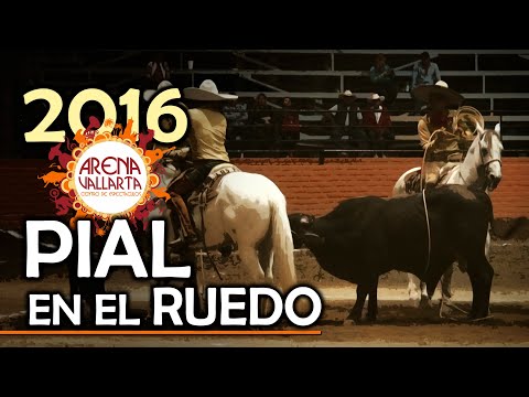 PIAL IN THE RING - SOUVENIR OF THE 2016 VALLARTA AVENUE