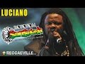 Luciano - Your World & Mine @ Rototom Sunsplash 2014 [8/20/2014]
