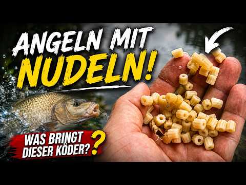 NUDELN ALS ANGELKÖDER?! 😱 Was dieser Köder wirklich bringt!
