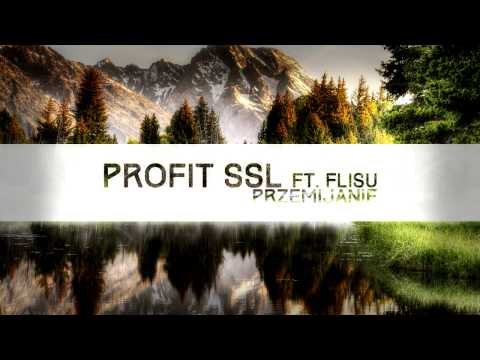 07. Profit SSL ft. Flisu - Przemijanie [PDR EP]