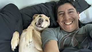 When Your Dog Only Has Eyes For Your Boyfriend 😂Cute Dog And Human Video