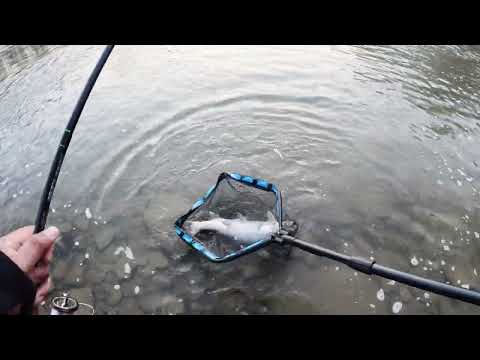 Spring Run Steelhead Is Finally Here!!! Float Fishing-2023