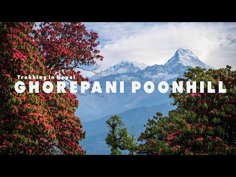 Ghorepani Poonhill