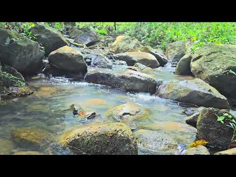 img-video