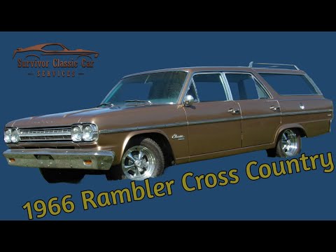 1966 AMC Rambler (CC-1938953) for sale in Palmetto, Florida