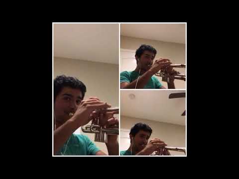 Blue Devils 2019 Trumpet Feature Multitrack