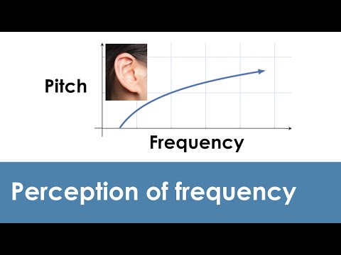 Perception of sound frequencies by the ear