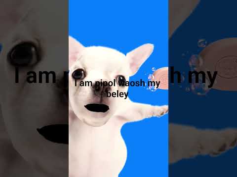 14 de febrero de 2026