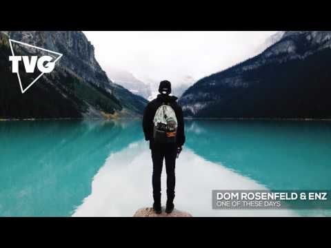 Dom Rosenfeld & ENZ  - One Of These Days