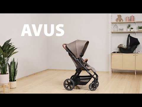 ABC Design Avus Nature Прогулочная коляска