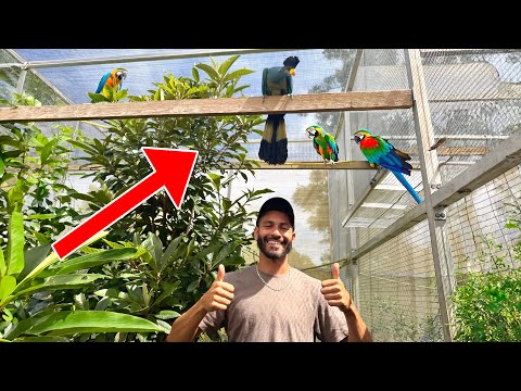 We Visited The RAREST BIRD Collection In FLORIDA!!