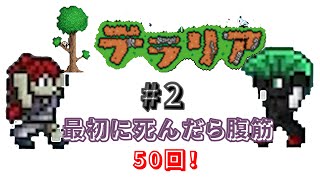 魔法の絨毯で迎えに行く話聞く？【テラリア】＃２