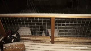 HAPPY NEW YEAR 2017 SNOW PORT ANGELES WASHINGTON !