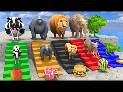 Long Slide Game With Cow Elephant Gorilla Hippopotamus Tiger - 3d Animal Game - Funny 3d Animals