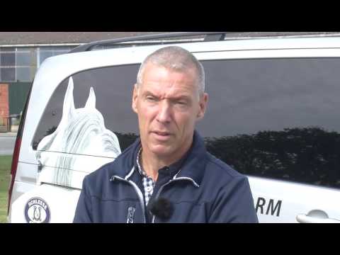 IP-Horsepower Immo Peltzer YouTube-Vdeominiatur 4