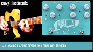Video thumbnail for Crazy Tube Circuits White Whale V2 Spring Reverb Tremolo by Mike Hermans
