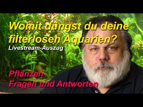 Womit düngst du dein filterloses Aquarium? Düngst du NPK und Eisen zusammen?