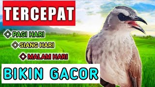 Download lagu PANCINGAN UNTUK TRUCUK MALAS BUNYI MACET STRES DAN BAKALAN mp3