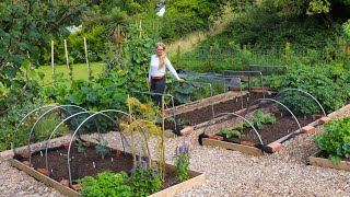 The Garden in August // Vegetable Garden, Polycrub, and Container Garden