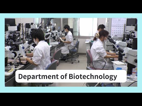 生命工学科 Department of Biotechnology