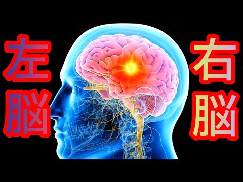 フレヴィッチの定理について詳しく解説