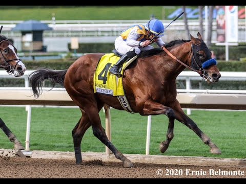 Santa Anita Park Carrera 7 (The San Vicente Stakes Gr.2) - 9 de Febrero 2020
