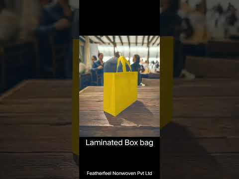 Bopp Laminated Box Bags