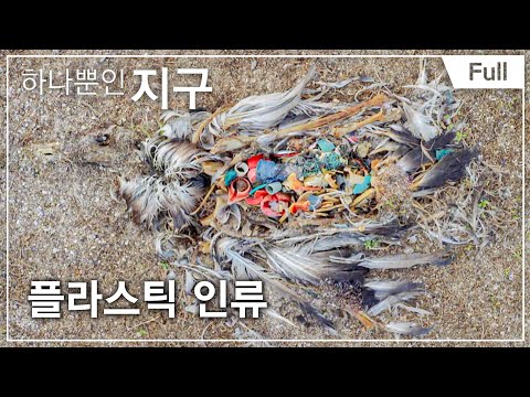 [하나뿐인 지구] 플라스틱 인류 20160722
