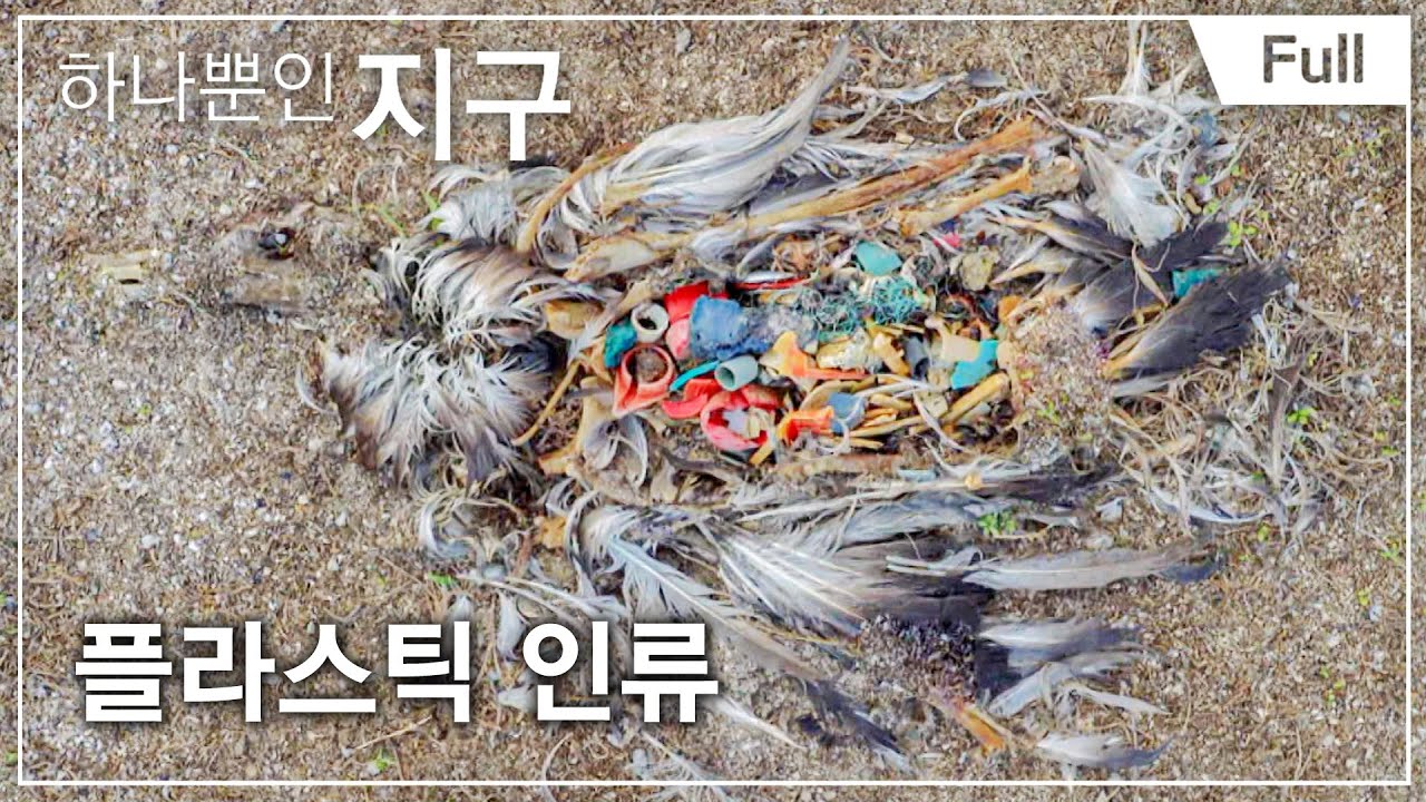 [하나뿐인 지구] 플라스틱 인류 20160722