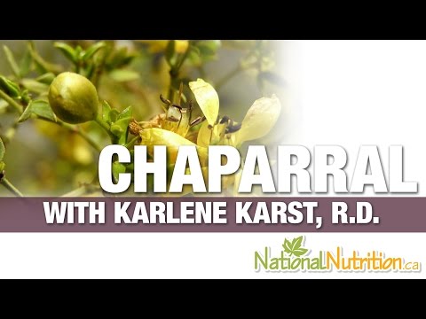 Chaparral As A Health Supplement