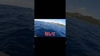 ポーク玉子と赤いヤツ！！ short #釣り #fishing #ハンターボート  #曲 #ai生成  #music  #海釣り #ポーク玉子 #赤いヤツ #沖縄