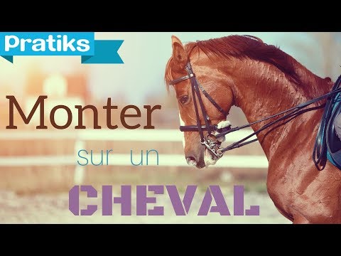 comment monter et descendre d'un cheval