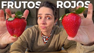 Postres con frutillas y frutos rojos 🍓🫐 Aprovecha la temporada de recetas dulces ❤️