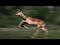 Tame Impala Let It Happen But It S Only The Best Part