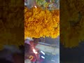 Mala Kallikulam Sri Elangamani Sastha Kovil Kodai 2018