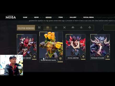 HERO Roles and what are it's importants ~ AutoChess MOBA Begginer's Guide