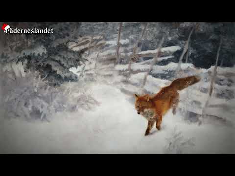 Swedish Holiday Song - "Räven raskar över isen" [English Translation]