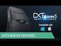 DXT Mouse 3 Features