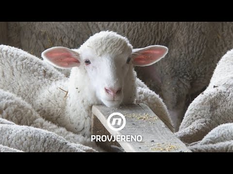 Da se zatvore granice, za tjedan dana ne bismo imali što jesti? | Provjereno